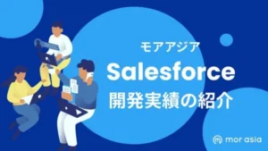 salesforce開発実績