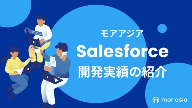 salesforce開発実績